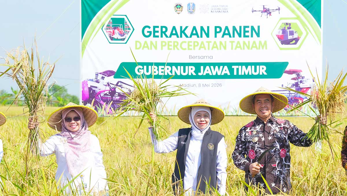 Gubernur Khofifah ketika memimpin panen dan percepatan tanam di Madiun.