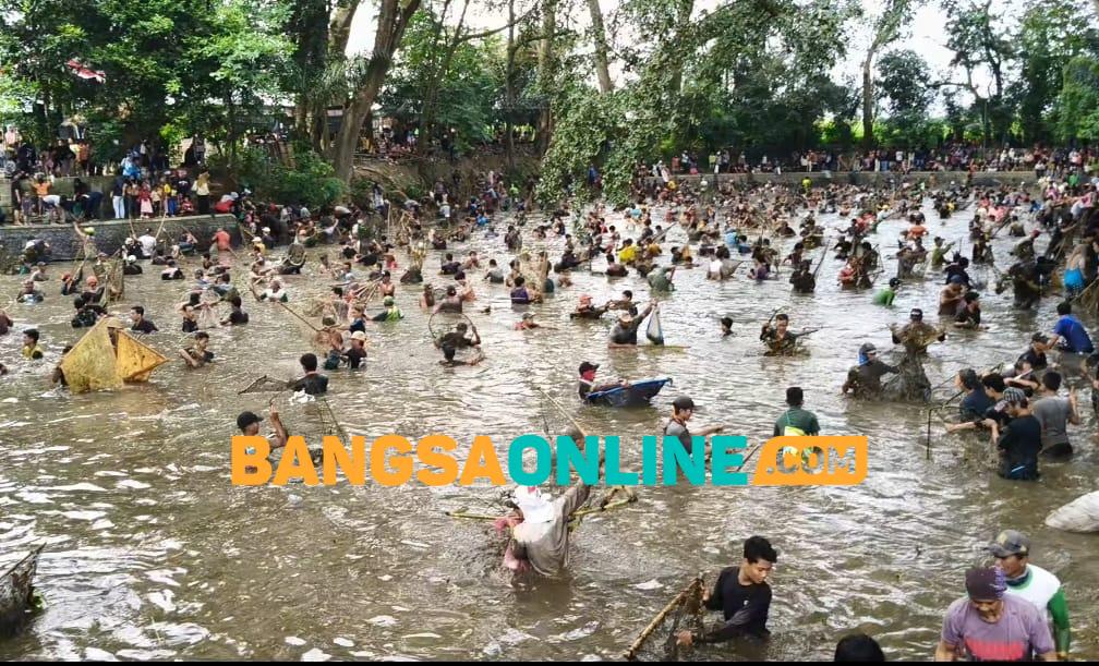 Ribuan Warga Tanjung Ikut Tradisi Gobyak Ikan di Sumber Gundi Kediri