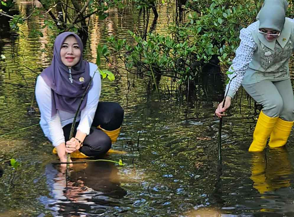 Senator Lia Istifhama turut serta dalam penanaman mangrove bersama seluruh anggota DPD RI, Wakil Ketua MPR RI Akbar Supratman, dan beberapa pihak terkait. (Ist)