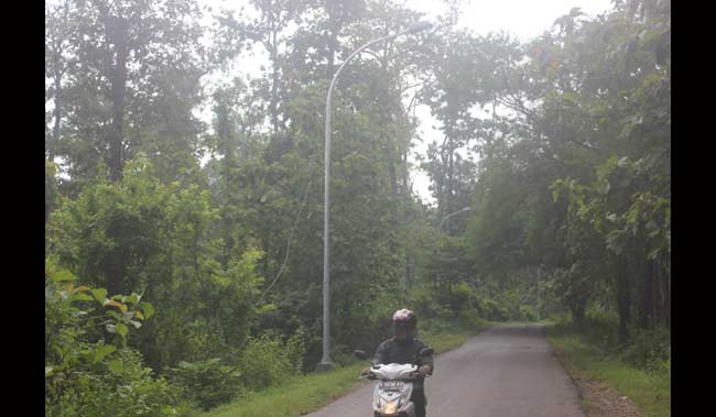 Salah satu lampu PJU yang mati. foto: suwandi/ BANGSAONLINE