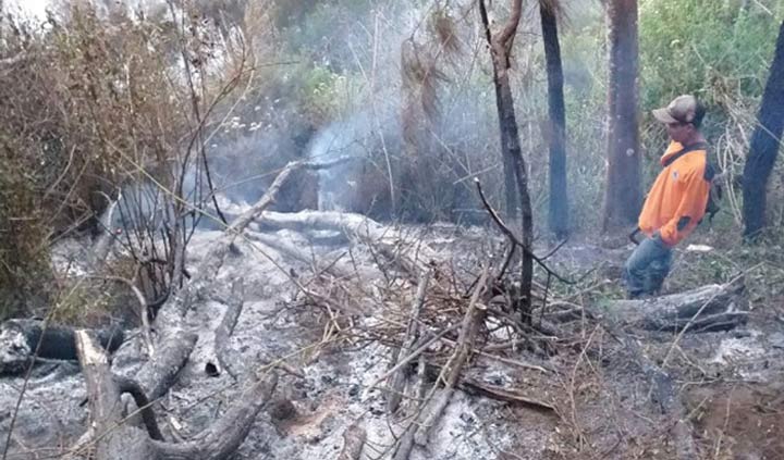 TRC BPBD Kota Batu masih menyisir titik api di Gunung Panderman.