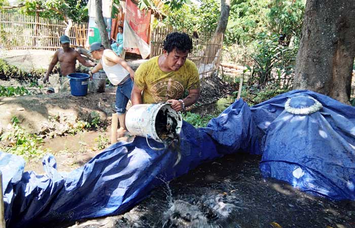 Mantan Begal Motor Tobat, Sukses Budidaya Lele