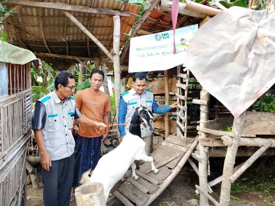 Penyaluran kambing bantuan YBM PLN ke buruh serabutan di Sumenep