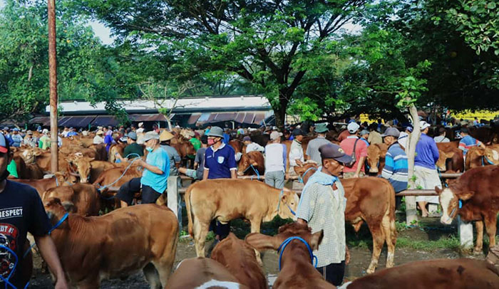 Suasana di Pasar Hewan Ngawi.