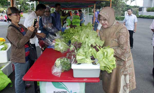 Walaupun tidak memiliki lahan pertanian yang luas, Surabaya ternyata bisa memamerkan produk-produk hasil pertanian mereka. (foto: hms)