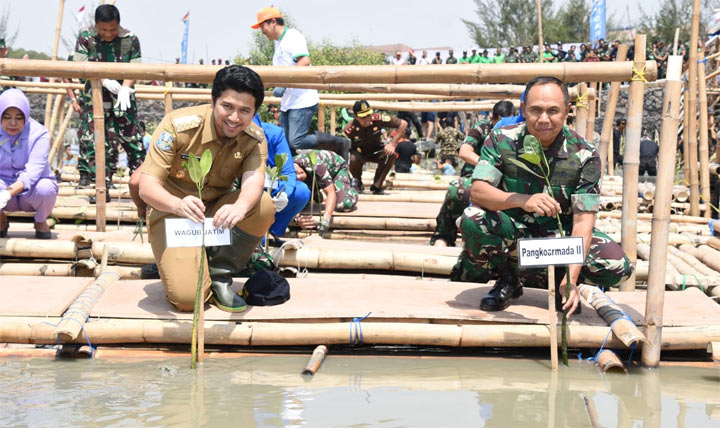 Pangkoarmada II Laksda TNI Mintoro Yulianto bersama Wagub Emil Dardak saat menanam bibit pohon mangrove secara simbolis.