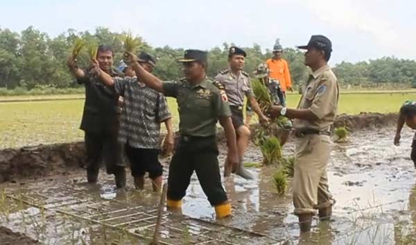 Kadis Pertanian bersama Kasdim dan instansi terkait melaksanakan tanam padi serentak se-Kabupaten Nganjuk. foto: soewandito/ BANGSAONLINE
