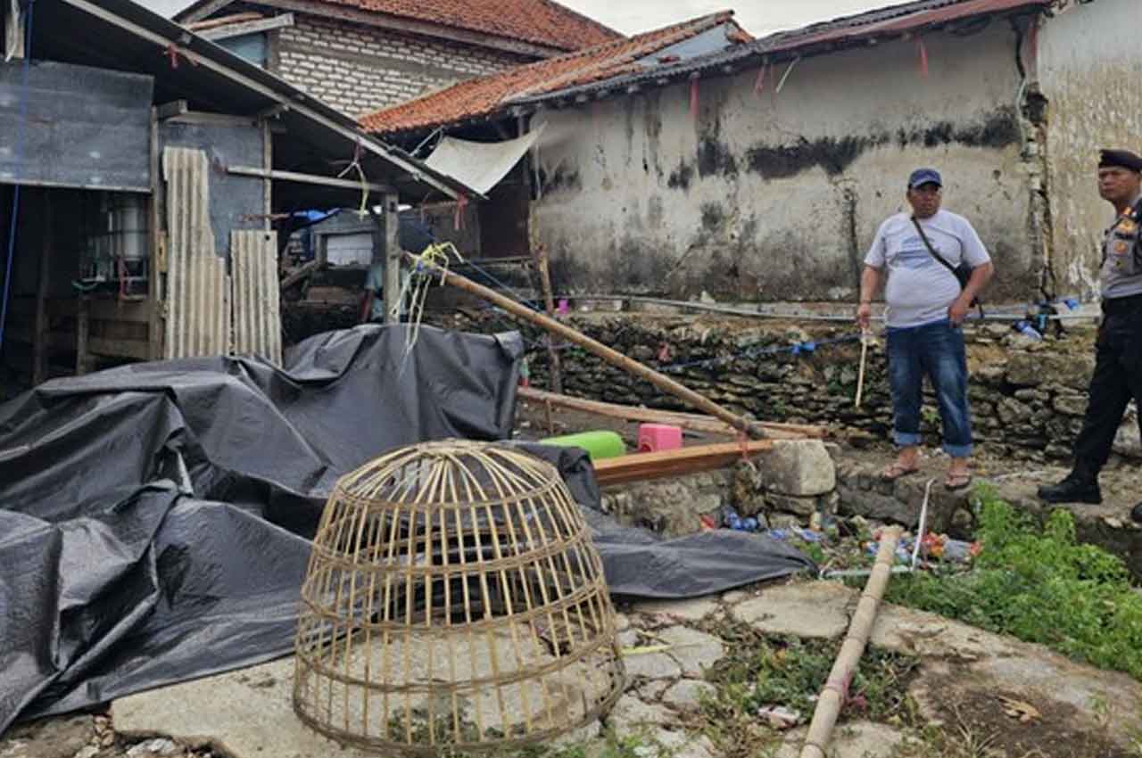 Lokasi penggerebekan sabung ayah di Pamekasan. Foto: Ist.