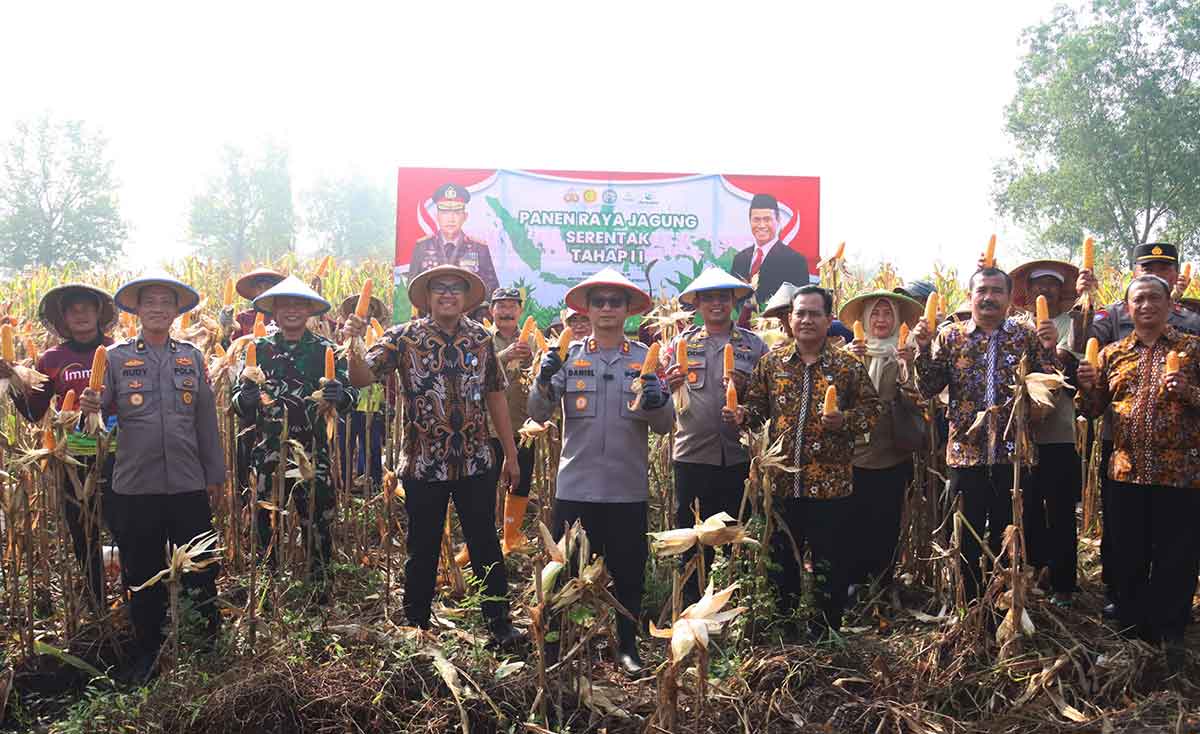Panen jagung yang dilakukan jajaran Polres Mojokerto Kota.