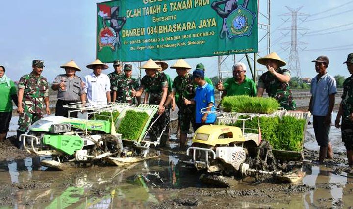 Danrem Bhaskara Jaya mengikuti acara gerakan olah tanah dan padi di Dusun Rejeni, Kecamatan Krembung, Kabupaten Sidoarjo, Jawa Timur, Rabu (12/2/2020).