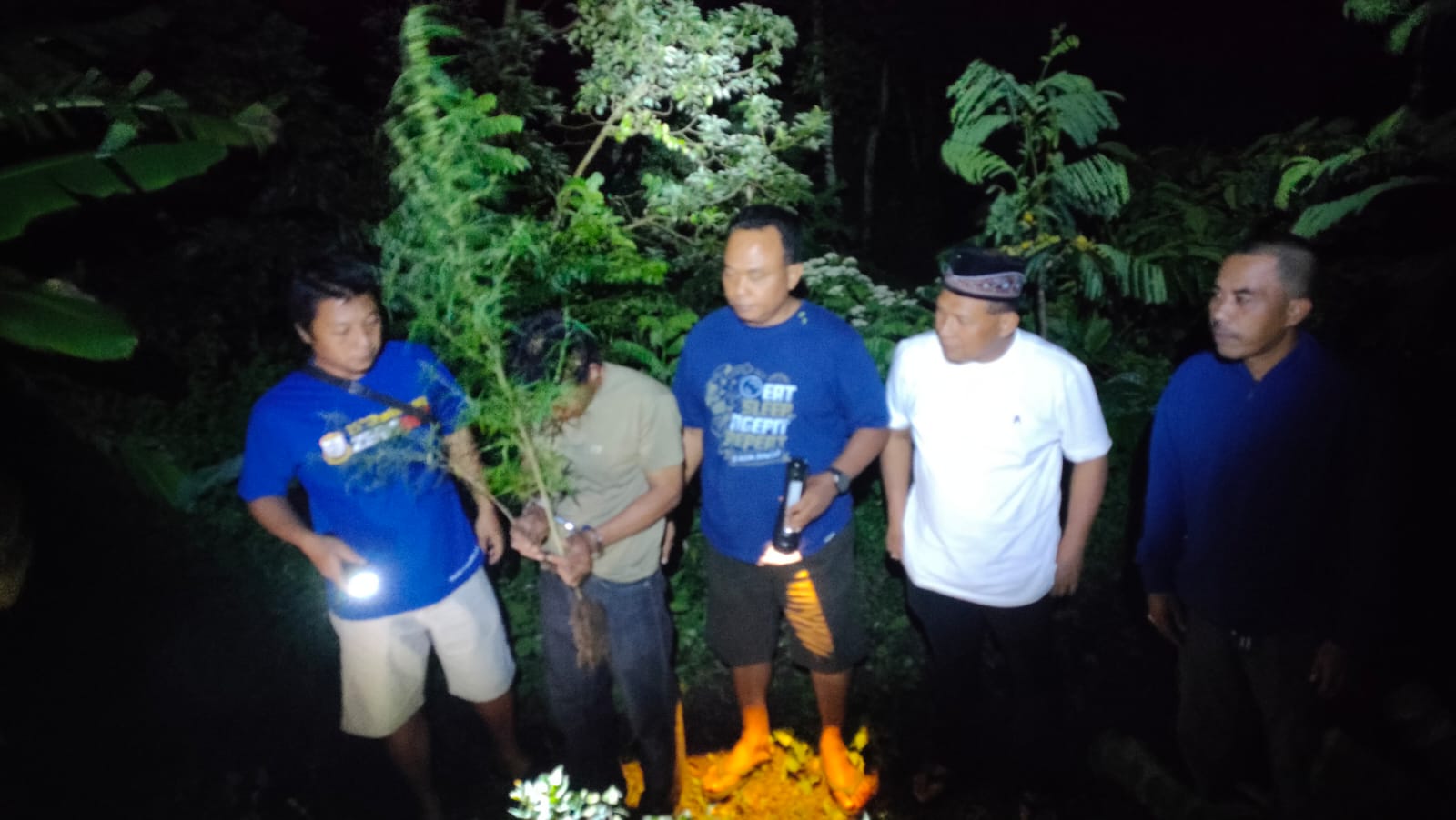 Petugas saat mengamankan pria penanam pohon ganja. (Ist). 