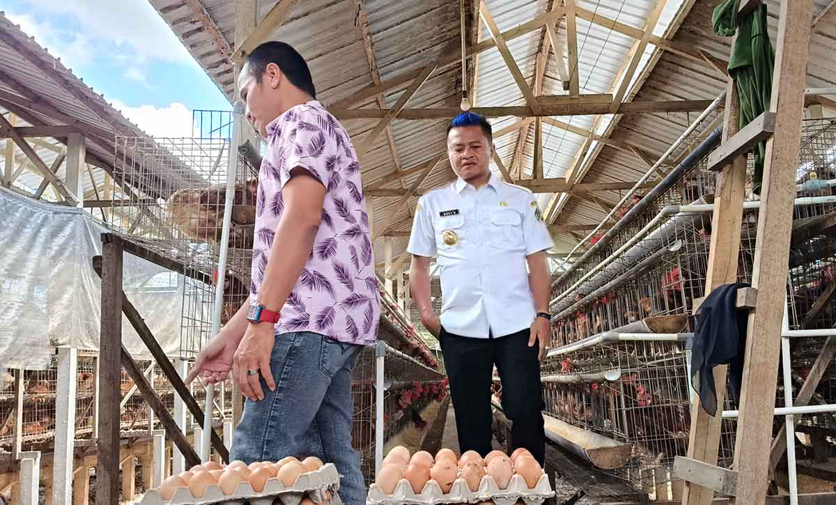 Wakil Bupati Blitar saat meninjau salah satu peternakan ayam.