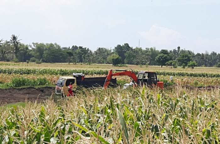Lokasi pertambangan yang ada di tengah sawah, Desa Tenggir, Kecamatan Panji. foto: MURSIDI/ BANGSAONLINE