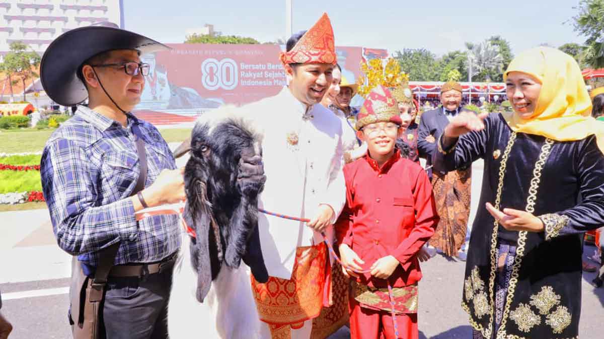 Wagub Jatim, Emil Dardak, saat menerima seekor kambing dari Gubernur Khofifah dalam peringatan HUT ke-80 RI.