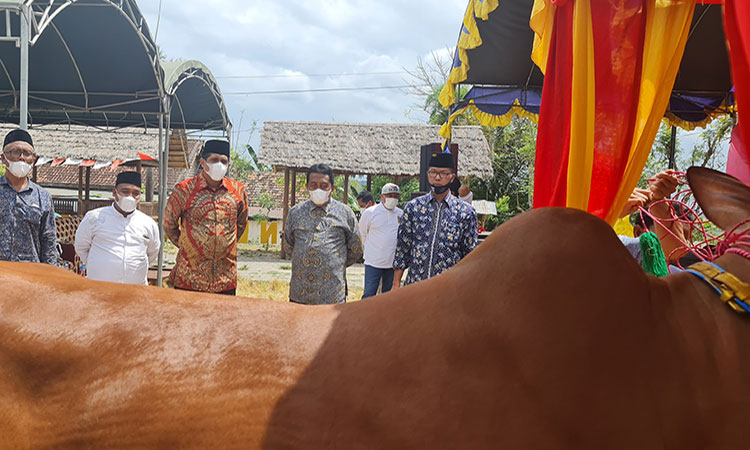 Hadiri Peluncuran Pusat Riset Sapi Madura, Muhammad Ali Ridha Minta Pertahankan Kearifan Lokal