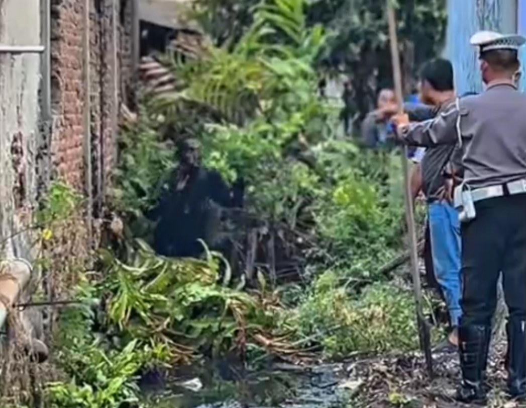 Detik-detik penangkapan pelaku yang bersembunyi di dalam got Jl. Sukomanunggal dekat kantor BNN Jatim