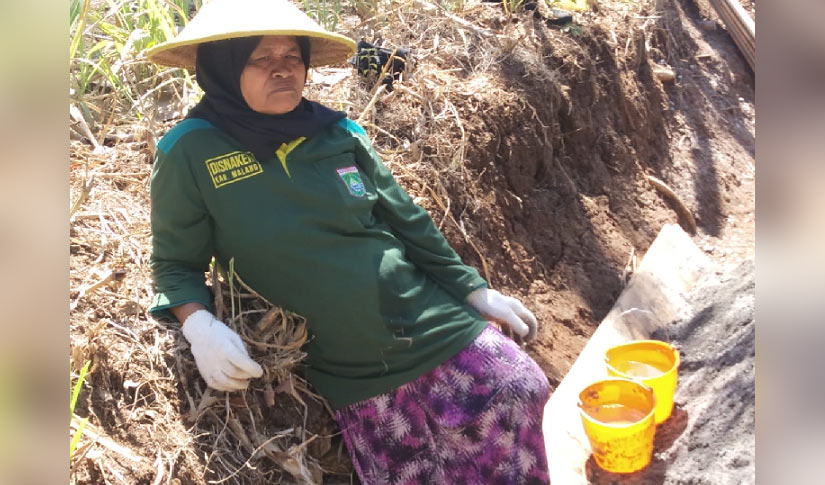 Mustini (48), salah satu warga Desa Kedungsalam, Kecamatan Donomulyo, Kabupaten Malang sangat aktif membantu anggota Satgas TMMD.