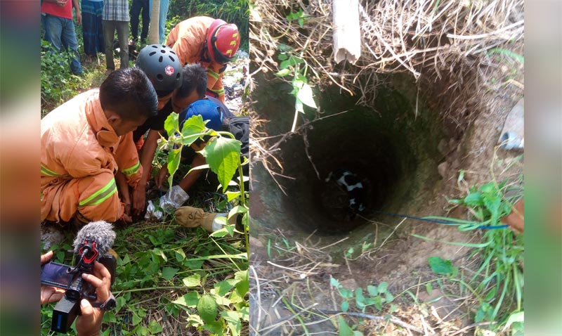 Proses evakuasi anjing liar yang terjebak di dalam sumur.