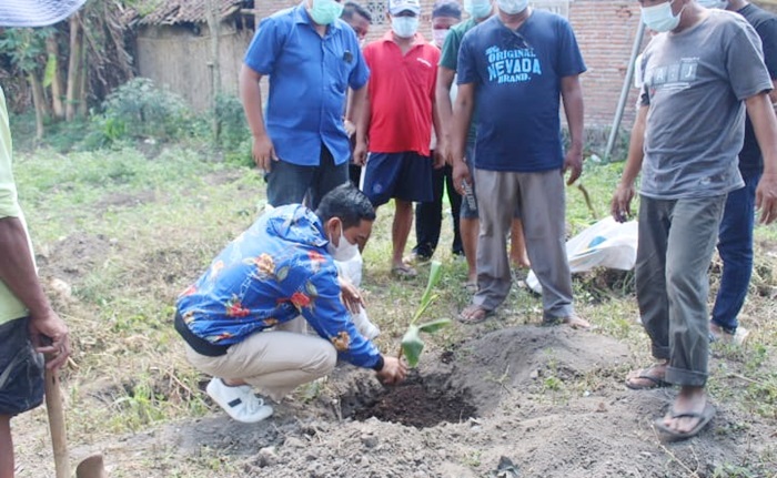 Deni Prasetya, S.E., Anggota Fraksi NasDem DPRD Jatim menanam bibit pisang cavendish di pekarangan rumah warga. foto: istimewa