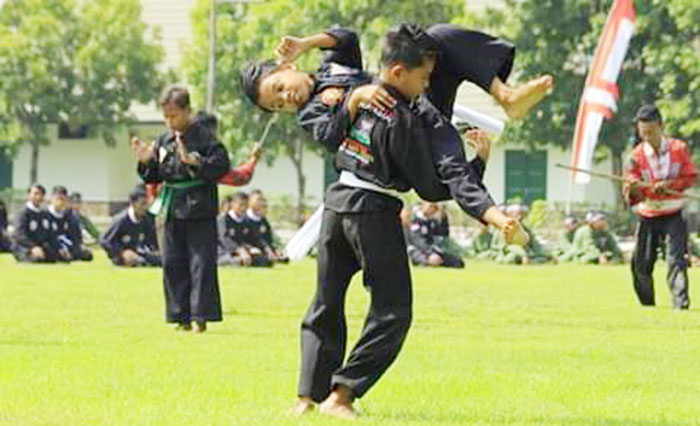 Sekdakot Madiun Apresiasi Pengukuhan Pencak Silat Nusantara di HUT Yonif Para Raider 501 BY