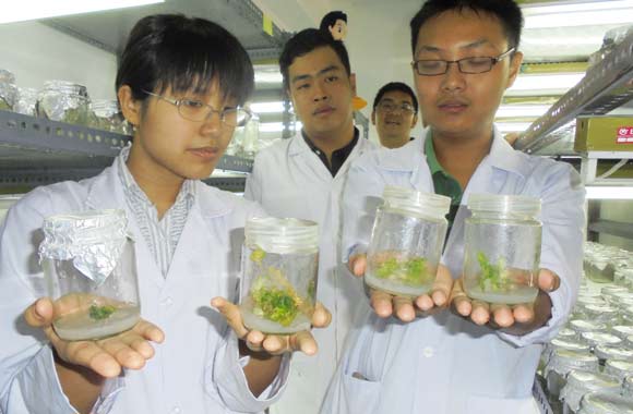 Tim Fakultas Teknobiologi Ubaya menunjukkan benih melon hasil penelitian regenerasi sel kalus. foto: devi fitri afriyanti/BANGSAONLINE