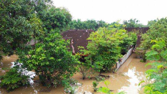Ketinggian air akibat banjir di Jawa Tengah mencapai atap rumah.