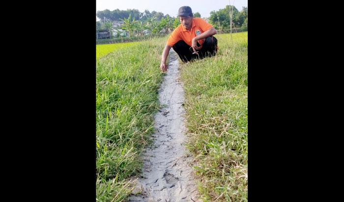 Lukman saat melihat lumpur yang keluar dari areal sawah yang dikerjakannya. foto: ist.