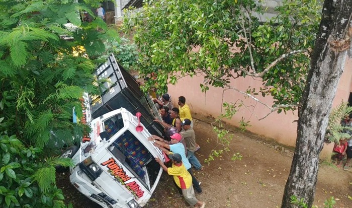 Pikap Bermuatan Sapi di Blitar Terguling ke Halaman Rumah Warga, Penumpang Luka Serius