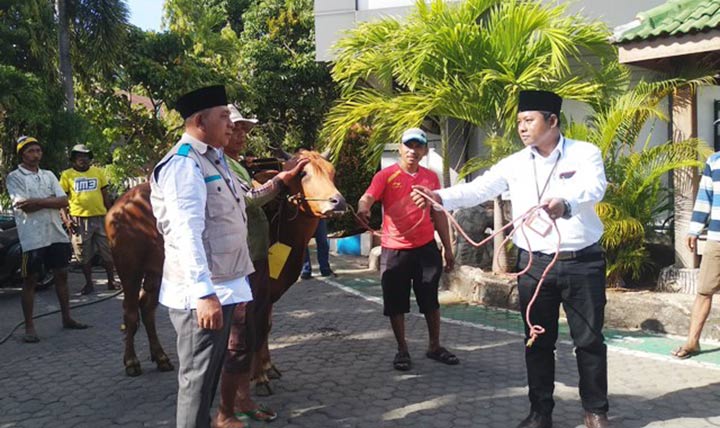 Manajer Pemasaran UP3 Pamekasan, Umar Arief saat menyerahkan sapi kepada panitia kurban.