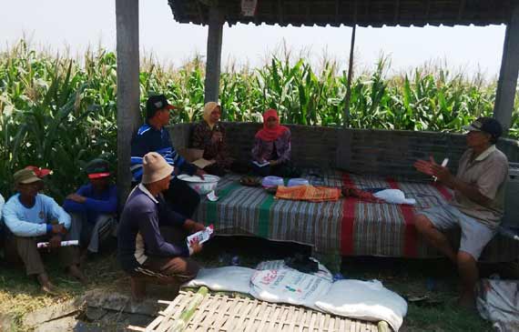 Haryanti saat bertemu petani Desa Merjoyo Kecamatan Purwoasri Kabupaten Kediri. foto: arif kurniawan/BANGSAONLINE