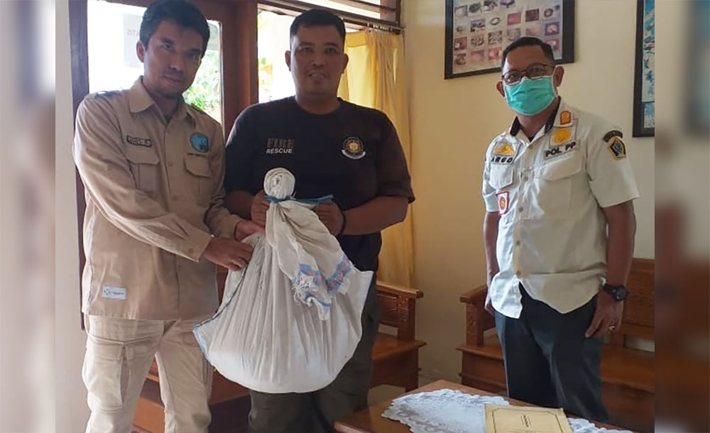 Petugas Pemadam Kebakaran (Damkar) Kabupaten Blitar menyerahkan ular kepada Balai Besar Konservasi Sumber Daya Alam (BKSDA) Jawa Timur.