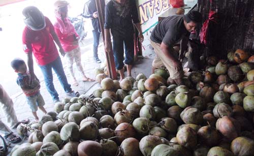 Andik saat memilihkan kelapa muda yang sudah matang kepada pembeli. (foto: rony suhartomo/BANGSAONLINE)