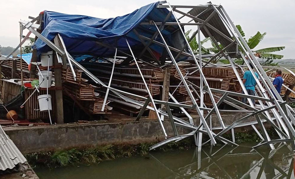 Kandang ayam milik Markito warga Dusun Plampangan Desa Jugo, Kecamatan Kesamben, roboh usai diterjang angin kencang.