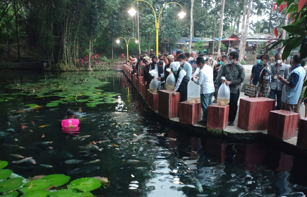 Gubernur Jatim Khofifah Indar Parawansa (kerudung putih) saat menabur benih ikan di Kolam Koi Desa Wisata Tirtosari View.