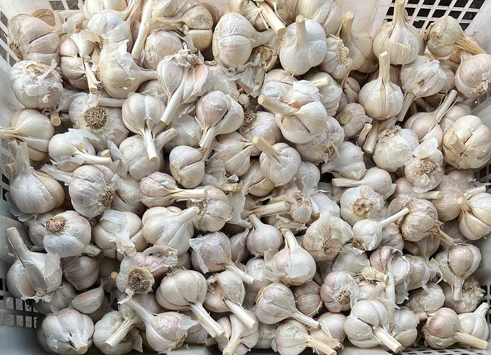 Harga Sembako Surabaya Jelang Ramadhan: Bawang Putih Rp40.333/kg, Cabai Rawit Rp76.500/kg