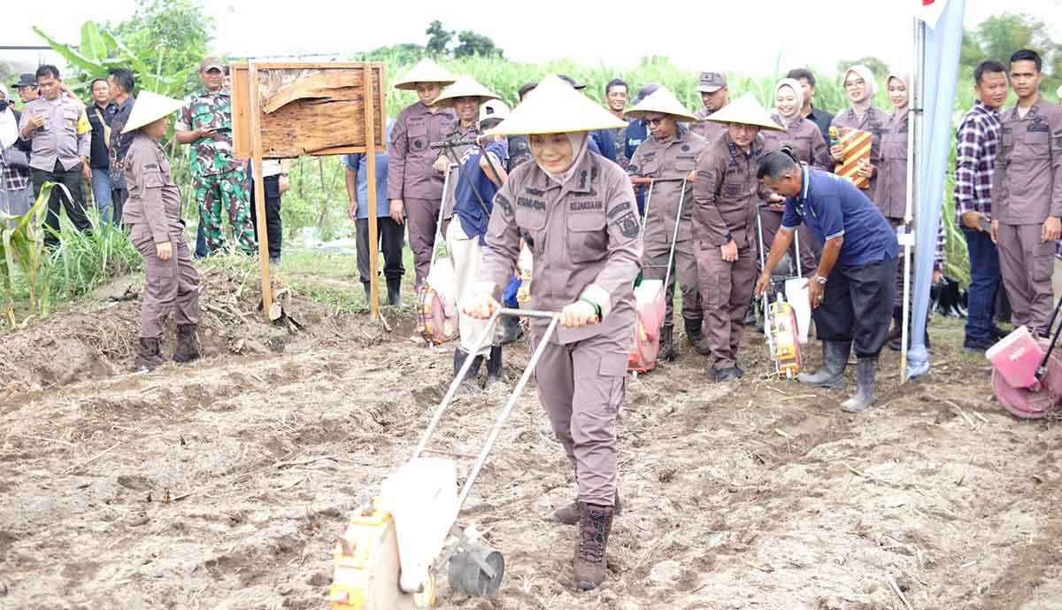 Kajari Kabupaten Kediri, Ismaya Hera Wardanie, saat ikut menanam jagung. Foto: Ist