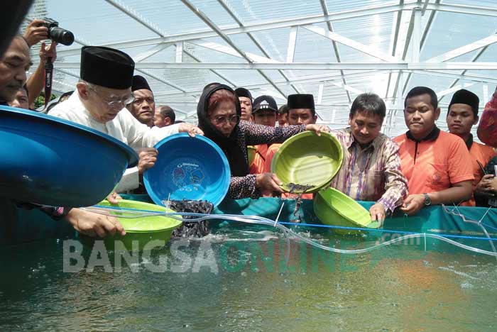 Menteri Susi Pudjiastuti saat menebar benih lele di komplek SMA Trensains Tebuireng Jombang, Minggu (13/8/2017). foto: ROMZA/ BANGSAONLINE