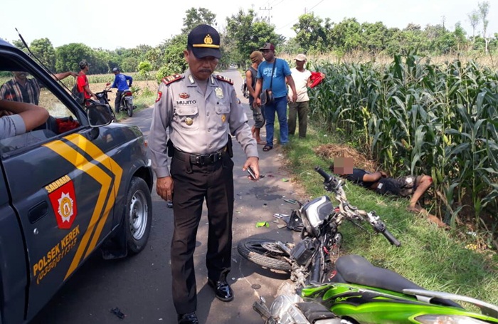Dua Motor di Kerek Adu Banteng, Dua Orang Luka Serius
