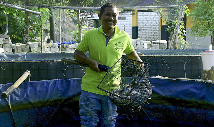 Setiadji, Ketua Kelompok Budi Daya Ikan Prima Makmur UMKM Binaan SIG sedang melakukan pemanenan. (foto: ist).