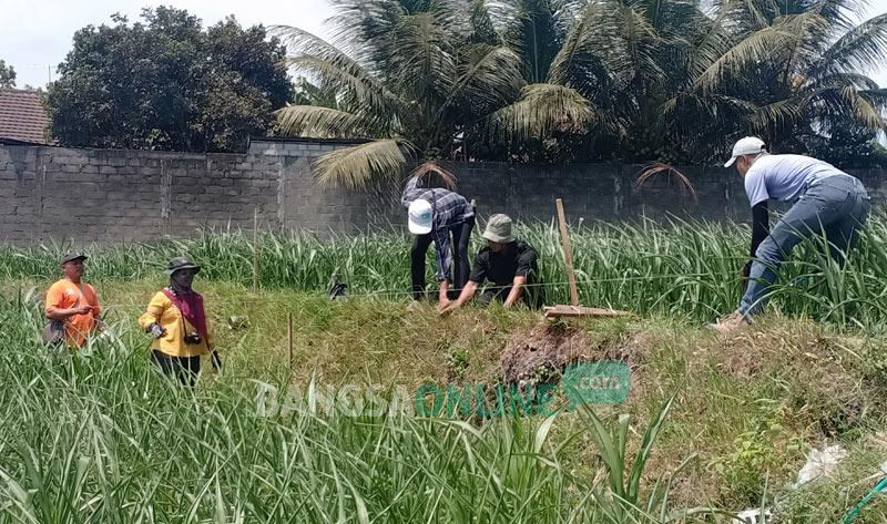 Tim dari BPCB Trowulan mulai melakukan ekskavasi di lokasi penemuan situs Candi Gedog.