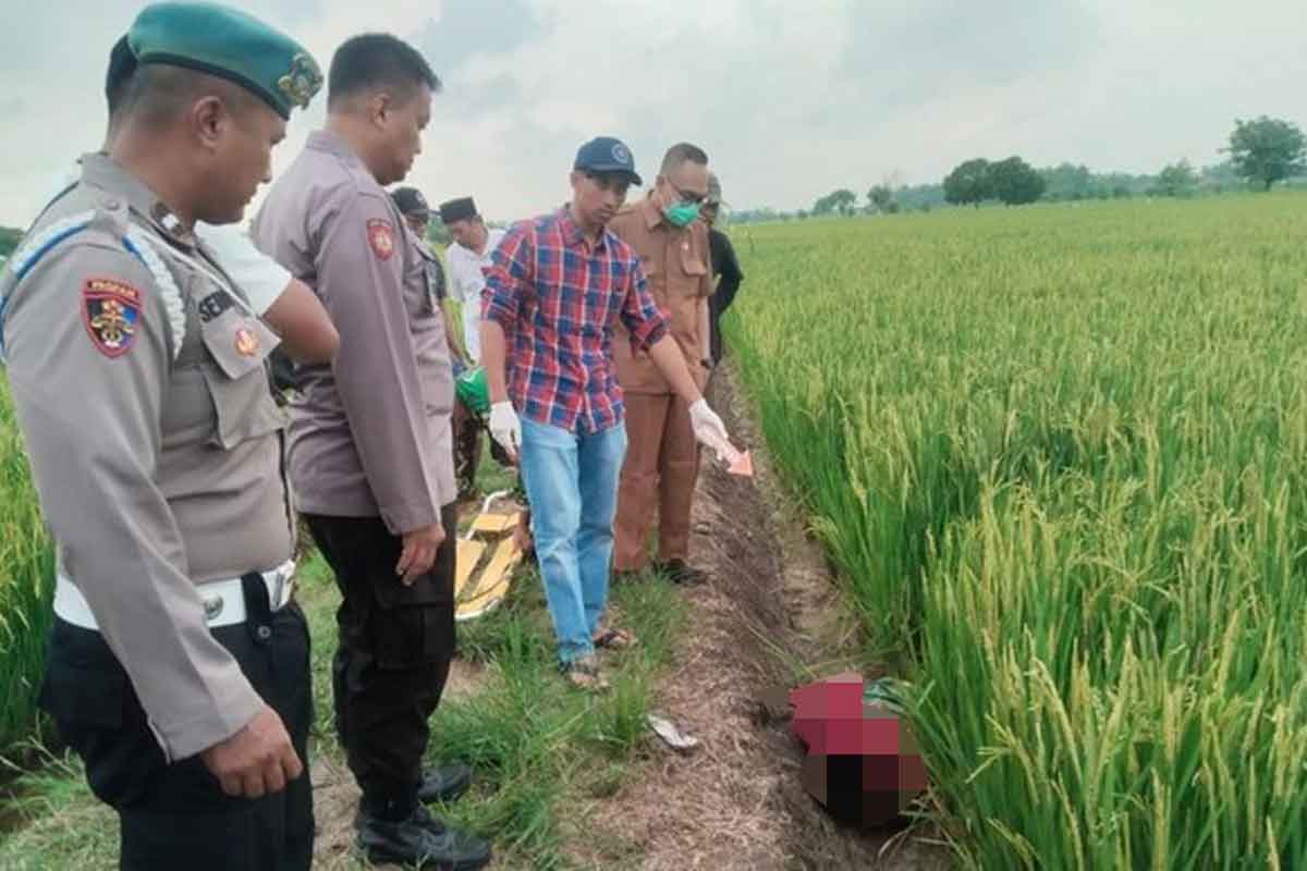 Jenazah petani di Gresik tewas tersetrum jebakan tikus di sawah milik kepala dusun. Foto: Ist.