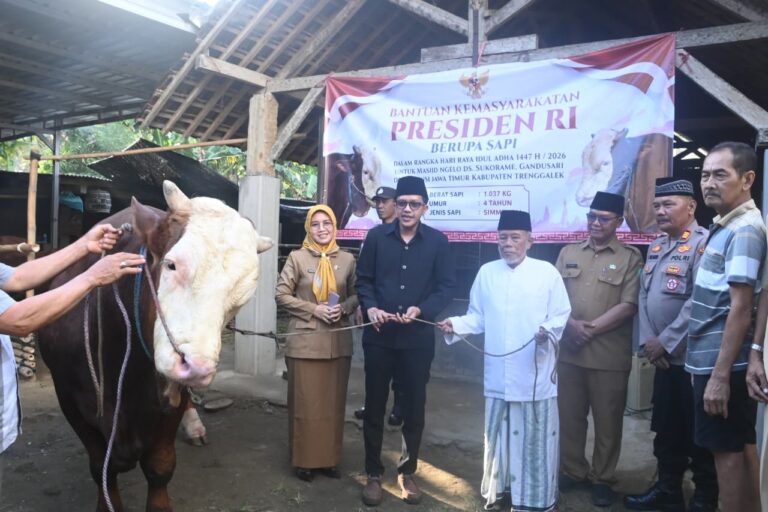 Bupati Trenggalek Serahkan Sapi Kurban Presiden Seberat 1 Ton dari Pogalan