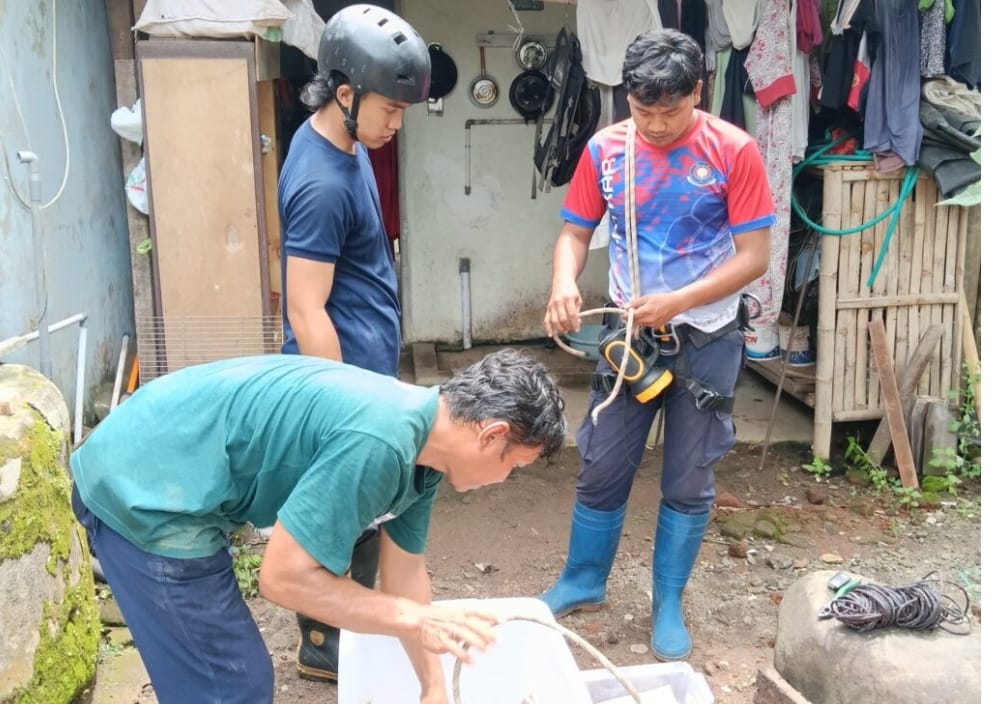 Petugas saat mengamankan seekor ular. (Ist). 
