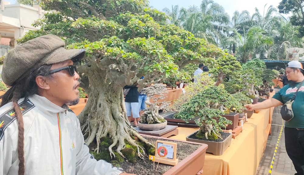 Ketua Panitia Pameran, Den Basito, di samping bonsai jenis beringin/Ficus Benjamina dengan tinggi 110 cm kelas pratama. Foto: MUJI HARJITA/ BANGSAONLINE 