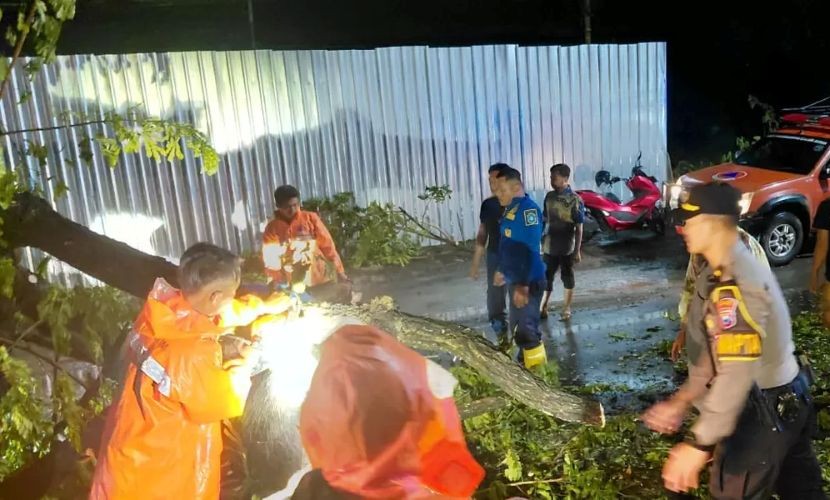 Petugas gabungan saat upaya evakuasi pohon tumbang yang menimpa mobil sedan Brio yang dikemudikan wanita asal Trenggalek