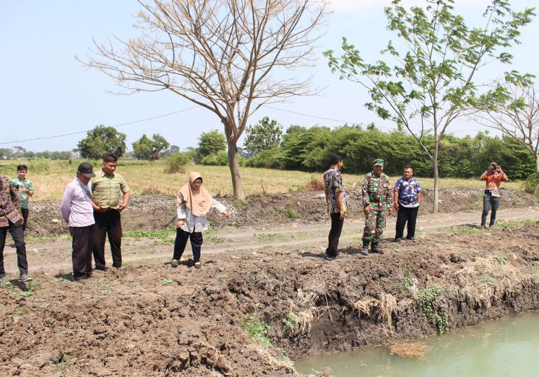 Satgas TMMD ke-126 bersama Dinas Perikanan Sidoarjo meninjau kolam ikan di Desa Kedondong Tulangan. foto ist