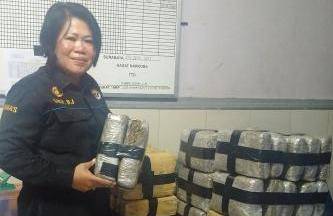 Petugas saat menunjukkan barang bukti berupa bungkusan ganja. (rusmiyanto/BANGSAOLINE)
