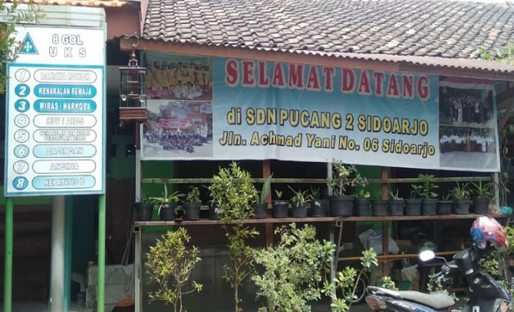 SD Negeri Pucang 2 Sidoarjo. (foto: ist)