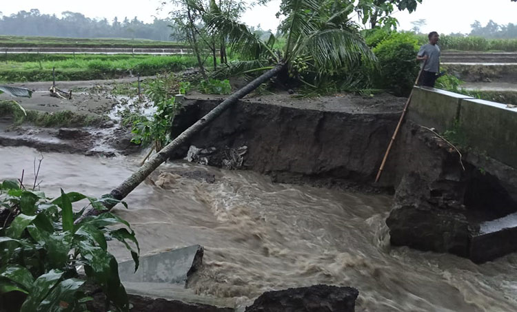 Jembatan Penghubung Dua Desa di Gandusari Kabupaten Blitar Jebol Diterjang Banjir