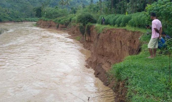 Kondisi tanggul Sungai Grindulu di Dusun Ngawen, Desa Semanten yang terus tergerus akibat meningkatnya debit air.